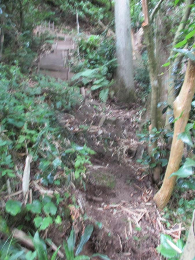 農家民宿 山いちご 越前町 エクステリア 写真